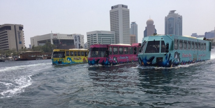 Wonder Bus sightseeing tour